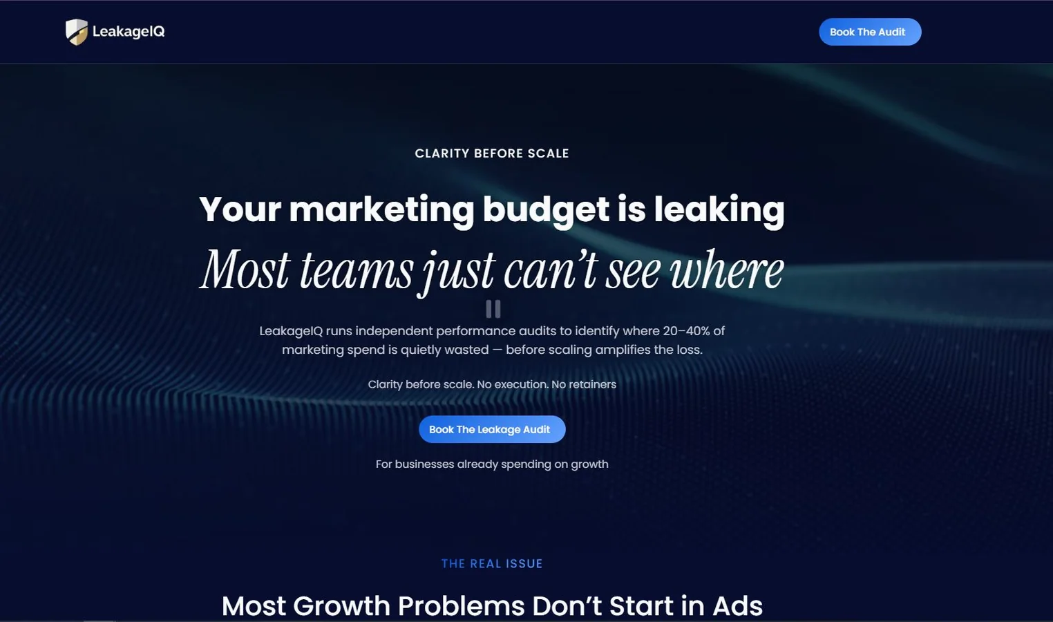 LeakageIQ website homepage